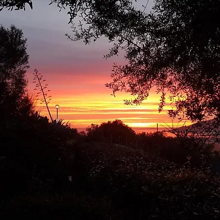 Un Charme Absolu Σπίτι διακοπών Bastelicaccia