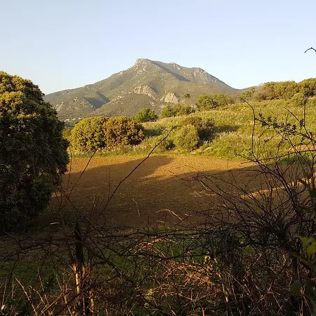 Un Charme Absolu Bastelicaccia