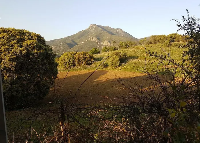Un Charme Absolu Bastelicaccia